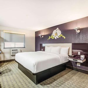 King Suite Mobility accessible