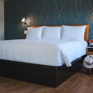 City Center Motel