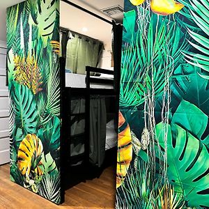 Echo Zen Hostel