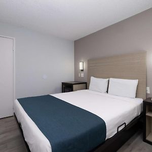 Double Room Disability Access Roll Shower