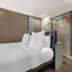 Signature King Room Roll Shower