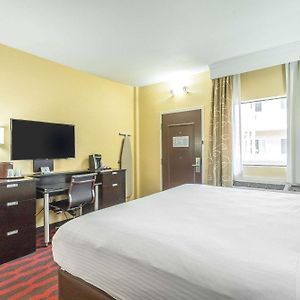 King Room Mobility accessible