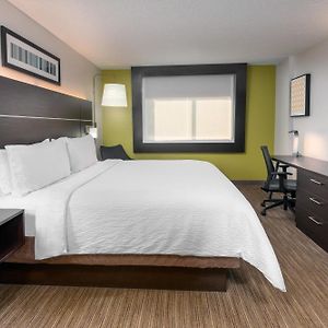 Standard King Room Roll Shower Mobility Accessible
