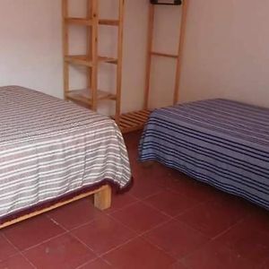 Basic Triple Room
