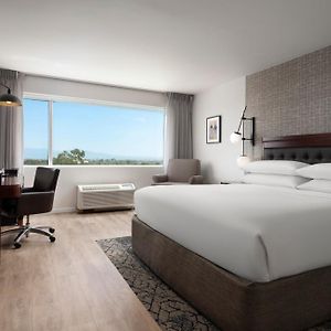 Guest Room 1 King