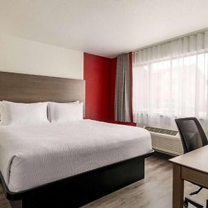 King Suite One King Bed Separate Building or Non-Smoking