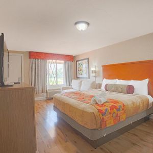 Suite King Bed Non Smoking