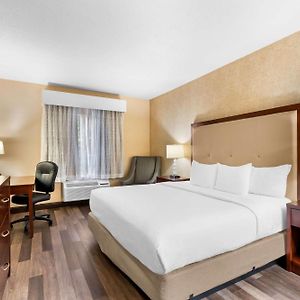 King Room Pet Friendly or First Floor