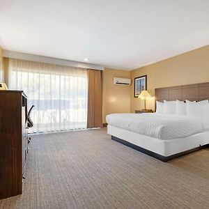 King Room Disability Access