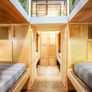 Social Stays - Santa Barbara'S First Hostel On State Street