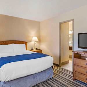Two-Bedroom Queen Suite