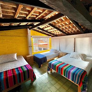 Casa Frida Gaylodging
