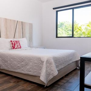 Standard King Suite
