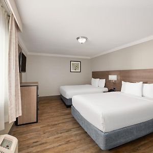 Queen Suite