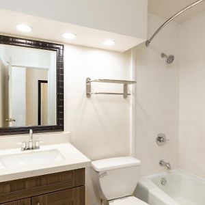 King Oceanfront Guestroom