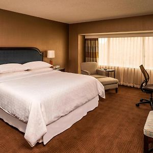 Tradition King Room Mobility accessible