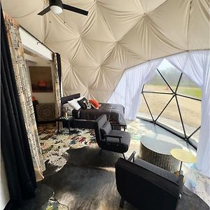 Studio