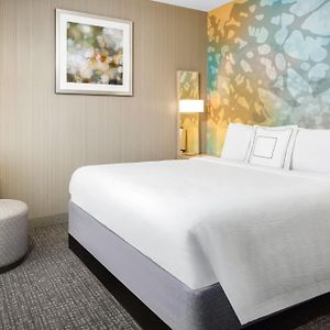 One-Bedroom King Suite