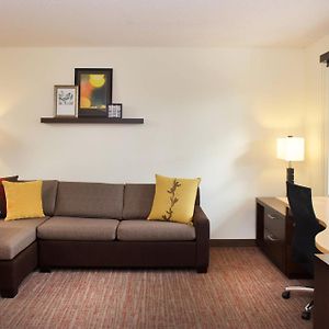 Queen Studio Sofa Bed