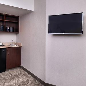 Executive One-Bedroom King Suite
