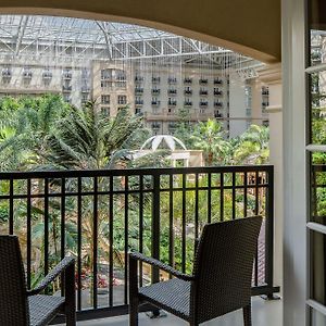 Queen Room Two Queen Beds Florida View Adapted Tub Mobility Accessible or Water Park Access