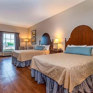 Queen Room Two Queen Beds Mobility Access Roll shower Non-Smoking
