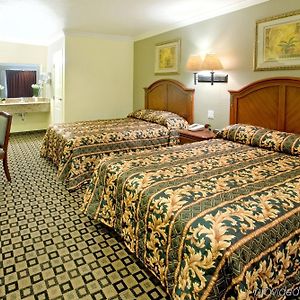 Queen Room Two Queen Beds