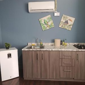 Standard King Studio