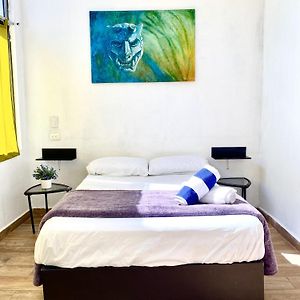 Standard Studio