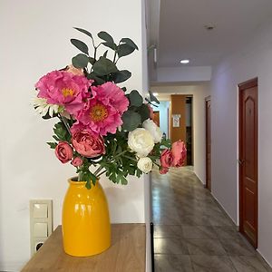 Center Hostel And Guest House