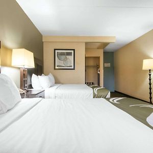 Deluxe Queen Room Two Queen Beds