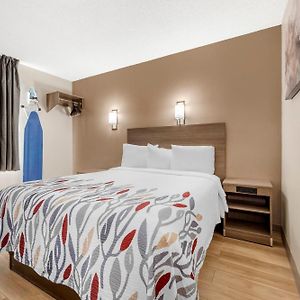 Deluxe Queen Room Disability Access Roll Shower Non-Smoking