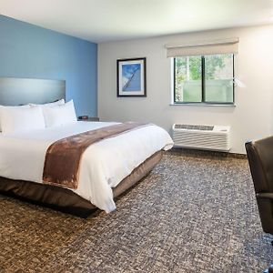 Queen Room Hearing & Mobility Accessible Roll Shower