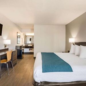 King Room Disability Access