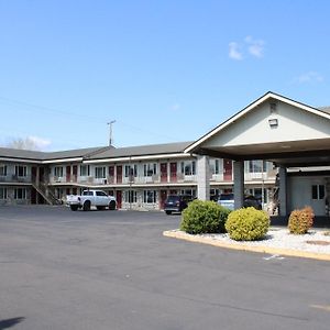Pine Tree Inn