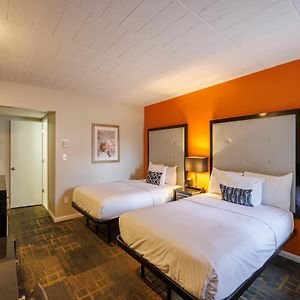 Double Room Two Double Beds