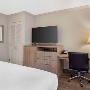 King Room Mobility accessible