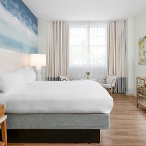 Studio One King Bed