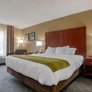 King Room Disability Access