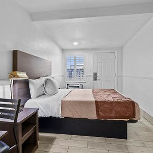 Executive Single Room 1 Bedroom King Bed Non Smoking