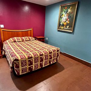 Budget Single Room