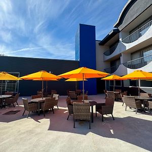Comfort Suites Kingston Central