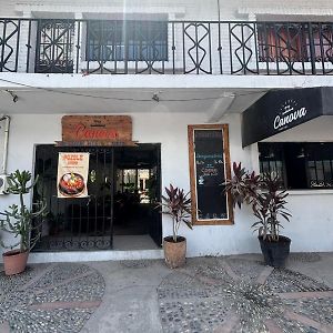 Canova Hostel & Pizza