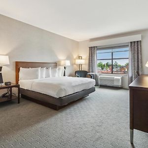 Executive King Room