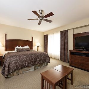 Studio Suite