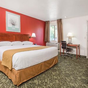 King Room Disability Access