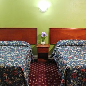 Double Room Extra Bed