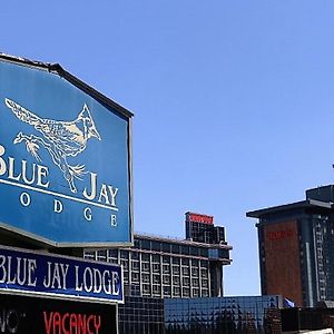 Blue Jay Lodge