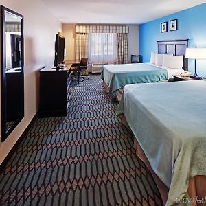 One-Bedroom Queen Suite