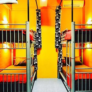 Standard Dormitory Room Mixed